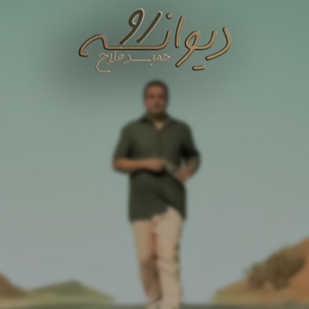 حمید فلاح دیوانه رو