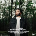 دانلود آهنگ محمد زندوکیلی نترس