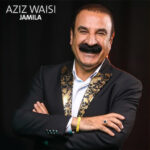 دانلود آهنگ عزیز ویسی جمیله