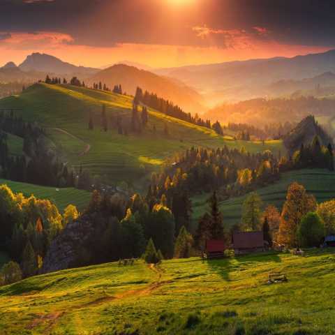   چقد به مامانم گفتم خونه رفیقامو خونه رفیقام نبودم