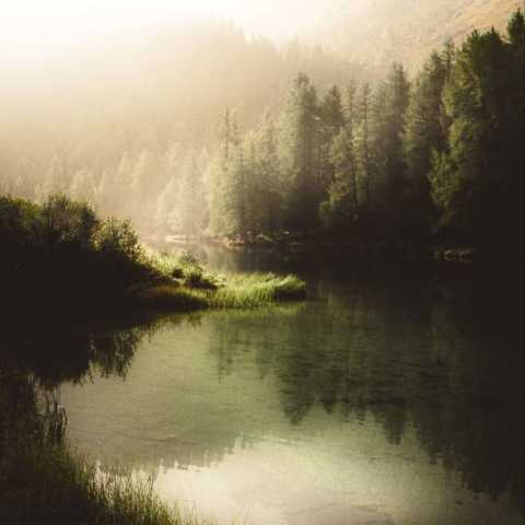   ﻣﻦ ﺗﻤﻮم زﻧﺪﮔﻴﻤﻮ دﻧﺒﺎل ﻳﻜﻰ ﺷﺒﻴﻪ ﺗﻮ ﺑﻮدم