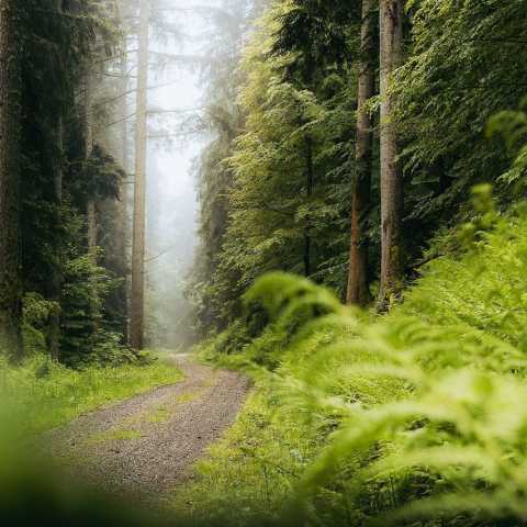   من در غم تو تو در هوای دگری