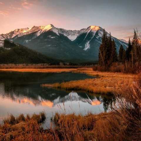   سبزه به ناز می آید