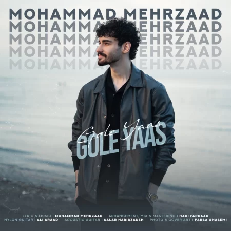 محمد مهرزاد گل یاس