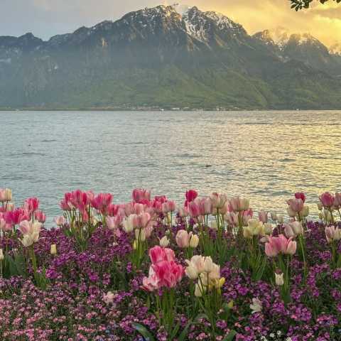   الان خیلی وقته نیستی کنارم