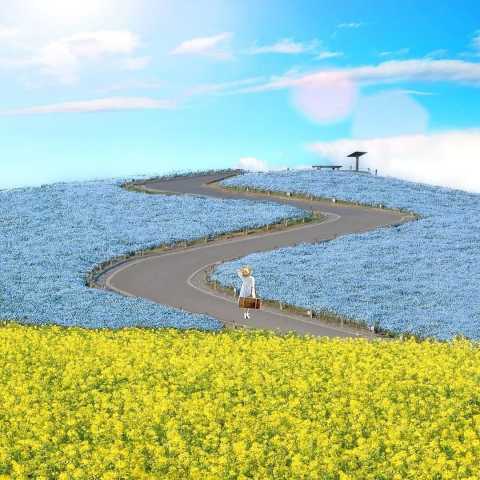   د کنج ای دل قائمی سر مگو راز منی