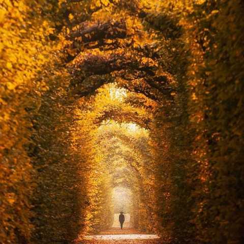   ﻓﺮض ﻛﻦ اﻳﻦ ﻣﻮﺷﻜﺎ ﺳﺘﺎره ان ﻛﻪ ﻣﺎ ﺗﻮ ﺧﺎورﻣﻴﺎﻧﻪ ﻧﻴﺴﺘﻴﻢ