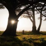 دانلود آهنگ   خیر ندیدم از روزگارت خدا منه نگاه