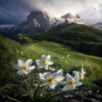 دانلود آهنگ   میخوام چند روزی از چشم تموم شهر پنهون شم
