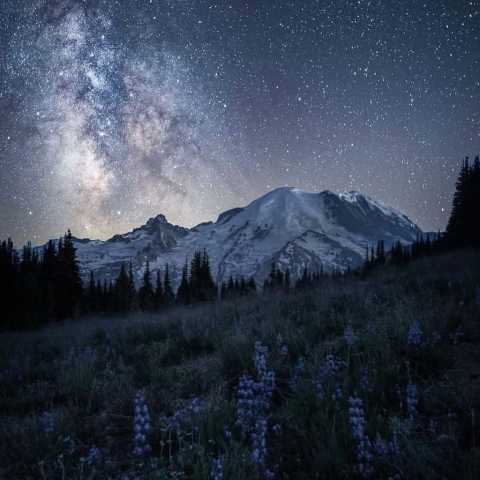   شب و ناله مو غم چند ساله مو