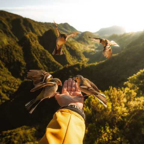   تو از چرخش یک رقص تو خلوت شبانه