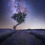 دانلود آهنگ   تو منه دریا ببین با این که جویبارم فقط