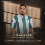 دانلود آهنگ محمدرضا عشریه داری میری