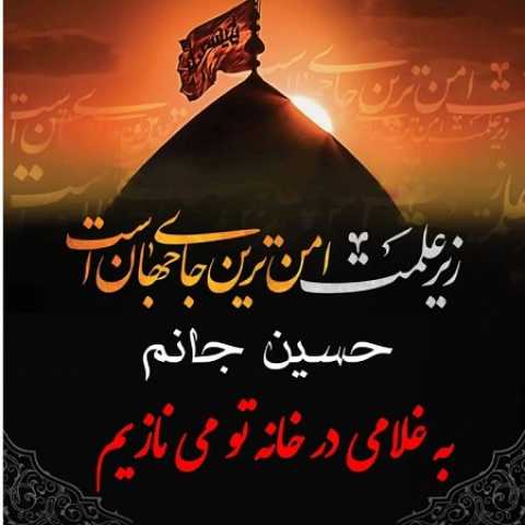   عقل از سر من پریده و دیوونگی جا گرفته
