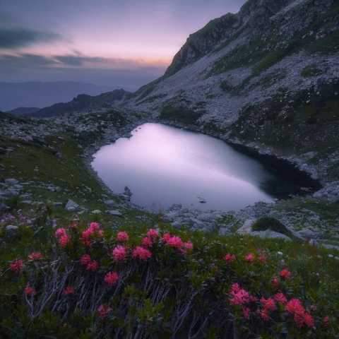   ارم به صحرا مه با خود تو فصل بهاره