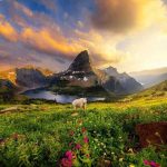 دانلود آهنگ   هر لحظه حالم بدتره تو این روزا