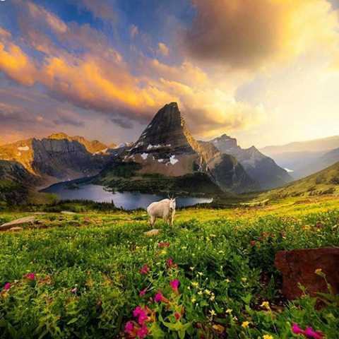   هر لحظه حالم بدتره تو این روزا 