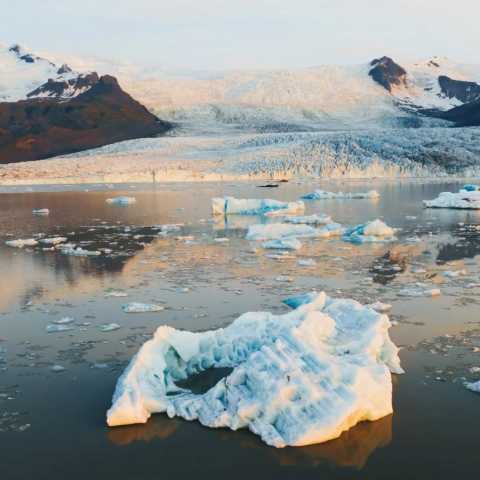   تو ای باغ گلم نوبر بهارم