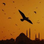 دانلود آهنگ مرو اوچوروم